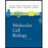 MOLECULAR CELL BIOLOGY-TEXT - 5th Edition - by LODISH - ISBN 9780716743668