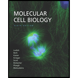 Molecular Cell Biology - 6th Edition - by Harvey Lodish, Arnold Berk, Chris A. Kaiser, Monty Krieger, Matthew P. Scott, Anthony Bretscher, Hidde Ploegh, Paul Matsudaira - ISBN 9780716776017