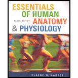 Essentials of human anatomy &amp; physiology - 8th Edition - by Elaine N. Marieb - ISBN 9780805373271