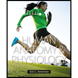 Human Anatomy & Physiology - 1st Edition - by Erin C. Amerman - ISBN 9780805382952