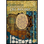 Essential Cell Biology - 4th Edition - by ALBERTS,  Bruce. - ISBN 9780815344551