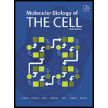 Molecular Biology of the Cell (Sixth Edition) - 6th Edition - by Bruce Alberts, Alexander D. Johnson, Julian Lewis, David Morgan, Martin Raff, Keith Roberts, Peter Walter - ISBN 9780815345244