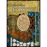 Essential Cell Biology (Fourth Edition) - 4th Edition - by Bruce Alberts, Dennis Bray, Karen Hopkin, Alexander D. Johnson, Julian Lewis, Martin Raff, Keith Roberts, Peter Walter - ISBN 9780815345251