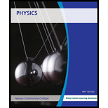 PHYSICS W/WILEYPLUS >C< - 10th Edition - by CUTNELL - ISBN 9781119158493