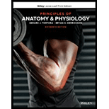 EBK PRINCIPLES OF ANATOMY AND PHYSIOLOG - 16th Edition - by DERRICKSON - ISBN 9781119662686