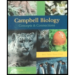 Campbell Biology:concepts:v1..>custom< - 1st Edition - by Taylor,  Simon,  Dickey Reece - ISBN 9781256271604