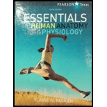 Essentials Of Human Anatomy And Physiology 10th Edition Texas Edition - 10th Edition - by Marieb - ISBN 9781256962779