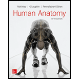 LooseLeaf for Human Anatomy - 5th Edition - by Michael McKinley Dr., Valerie O'Loughlin, Elizabeth Pennefather-O'Brien - ISBN 9781259285271