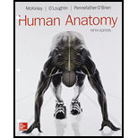 GEN COMBO LL HUMAN ANATOMY; CONNECT APR PHILS ACCESS CARD - 5th Edition - by Michael McKinley Dr. - ISBN 9781260053074
