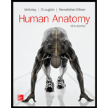 HUMAN ANATOMY (PAPER) - 5th Edition - by McKinley - ISBN 9781260110487