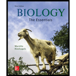 Loose Leaf For Biology: The Essentials - 3rd Edition - by Mariëlle Hoefnagels Dr. - ISBN 9781260140651