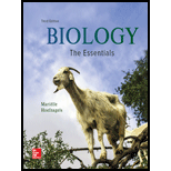 Biology: The Essentials - 3rd Edition - by Marielle Hoefnagels - ISBN 9781260140705