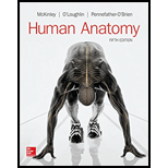 HUMAN ANATOMY (LOOSE)-W/ACCESS>CUSTOM< - 5th Edition - by McKinley - ISBN 9781260230338