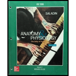 Anatomy and Physiology (Custom) - 8th Edition - by SALADIN - ISBN 9781260262353