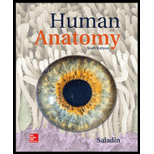 HUMAN ANATOMY (LOOSELEAF) - 6th Edition - by SALADIN - ISBN 9781260399783