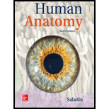 Human Anatomy - 6th Edition - by SALADIN,  Kenneth - ISBN 9781260399820