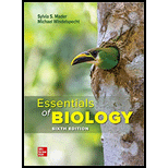 EBK ESSENTIALS OF BIOLOGY               - 6th Edition - by Mader - ISBN 9781260780031