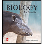 BIOLOGY:ESSENTIALS-EBOOK ACCESS CARD - 4th Edition - by Hoefnagels - ISBN 9781266615641
