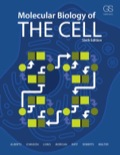Molecular Biology of the Cell (Sixth Edition) - 6th Edition - by ALBERTS - ISBN 9781317563754