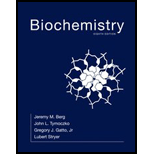 Biochemistry 8e & Launchpad (twelve Month Access) (hardcover) - 8th Edition - by Jeremy M. Berg - ISBN 9781319036805