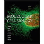 Molecular Cell Biology & Launchpad for Molecular Cell Biology (6 Month Access) (Hardcover) - 8th Edition - by Harvey Lodish - ISBN 9781319067748