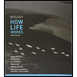 Biology: How Life Works, Volume 2 & Launchpad (twelve-month Access)