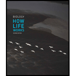 BIOLOGY:HOW LIFE WORKS-LAUNCHPAD ACCESS - 2nd Edition - by Morris - ISBN 9781319148874