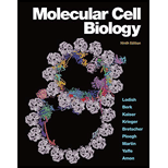 MOLECULAR CELL BIOLOGY - 9th Edition - by LODISH - ISBN 9781319208523