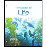 PRINCIPLES OF LIFE (LOOSELEAF) - 3rd Edition - by HILLIS - ISBN 9781319249397