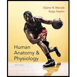 HUMAN ANAT.+PHYSIOLOGY-PACKAGE >CUSTOM< - 10th Edition - by Marieb - ISBN 9781323099599