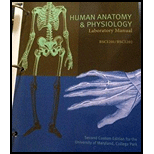 Human Anatomy & Physiology Laboratory Manual (Second Custom Edition for the University of Maryland College Park)