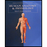HUMAN ANATOMY+PHYSIOLOGY >CUSTOM< - 2nd Edition - by Marieb - ISBN 9781323244173