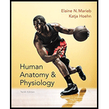 HUMAN ANAT.+PHYS. MOD. MASTER PKG - 10th Edition - by Marieb - ISBN 9781323287521