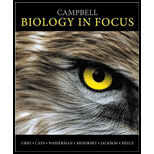 CAMPBELL BIO.IN FOCUS-W/CODE >CUSTOM< - 14th Edition - by Urry - ISBN 9781323415498