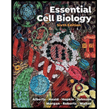 Essential Cell Biology - 6th Edition - by ALBERTS,  Bruce, Hopkin,  Karen, Johnson,  Alexander , Morgan,  David, Roberts,  Keith, Walter,  Peter, Heald,  Rebecca - ISBN 9781324033356