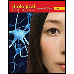 Bundle: Biological Psychology, Loose-Leaf Version, 13th + MindTap Psychology, 1 term (6 months) Printed Access Card - 13th Edition - by James W. Kalat - ISBN 9781337743174