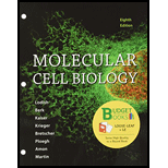 Loose Leaf Version For Molecular Cell Biology - 8th Edition - by LODISH, HARVEY - ISBN 9781464187438
