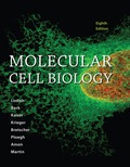 Molecular Cell Biology - 8th Edition - by LODISH - ISBN 9781464187490