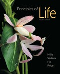 EBK PRINCIPLES OF LIFE - 2nd Edition - by HILLIS - ISBN 9781464192463