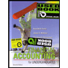 Financial Accounting for Undergraduates