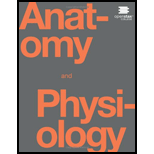 Anatomy & Physiology - 1st Edition - by Kelly A. Young, James A. Wise, Peter DeSaix, Dean H. Kruse, Brandon Poe, Eddie Johnson, Jody E. Johnson, Oksana Korol, J. Gordon Betts, Mark Womble - ISBN 9781938168130