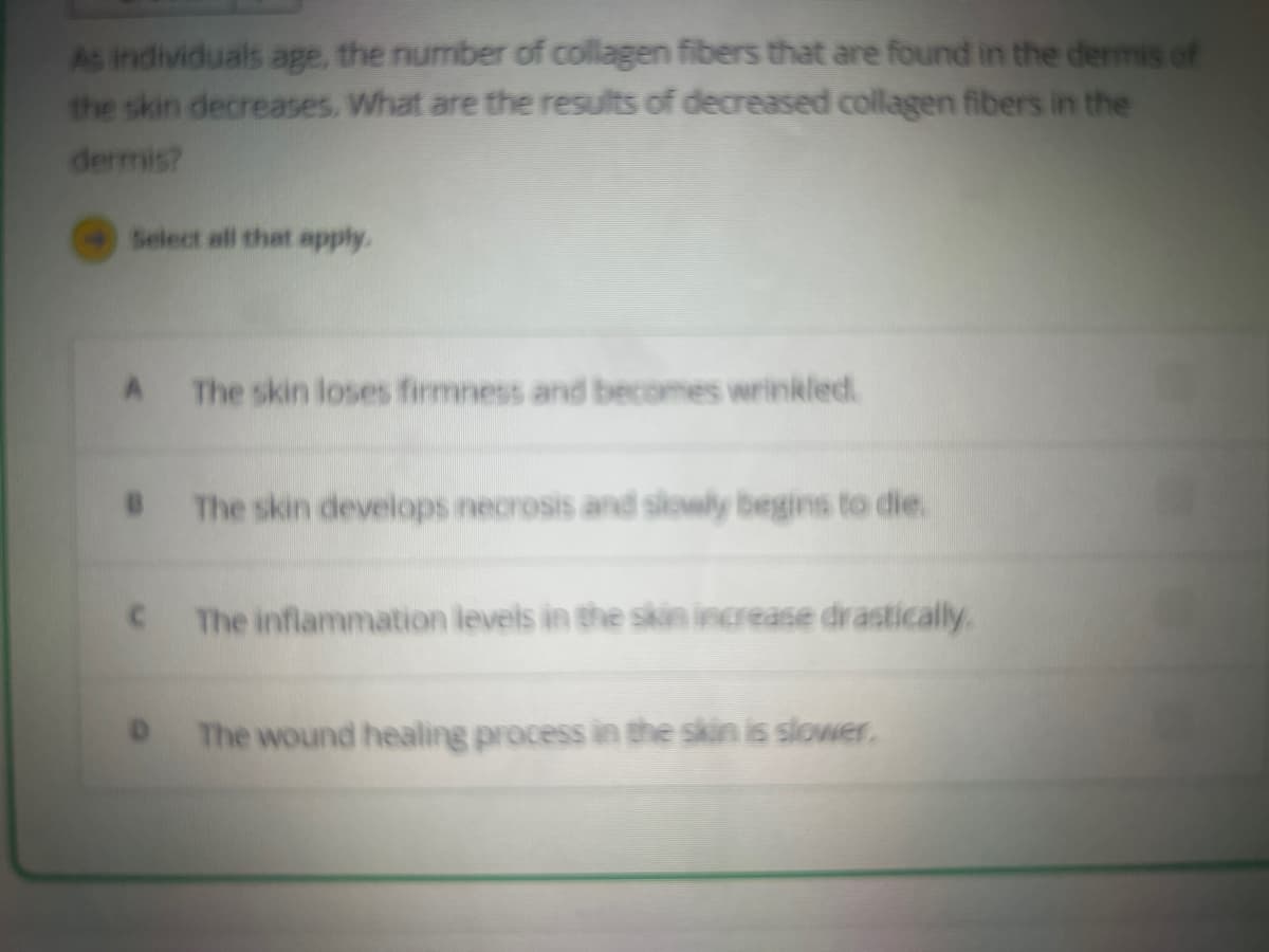 As individuals age, the number of collagen fibers that are found in the dermis of
the skin decreases. What are the results of decreased collagen fibers in the
dermis?
Select all that apply.
A
The skin loses firmness and becomes wrinkled
B The skin develops necrosis and slowly begins to die.
C The inflammation levels in the skin increase drastically.
The wound healing process in the skin is slower.