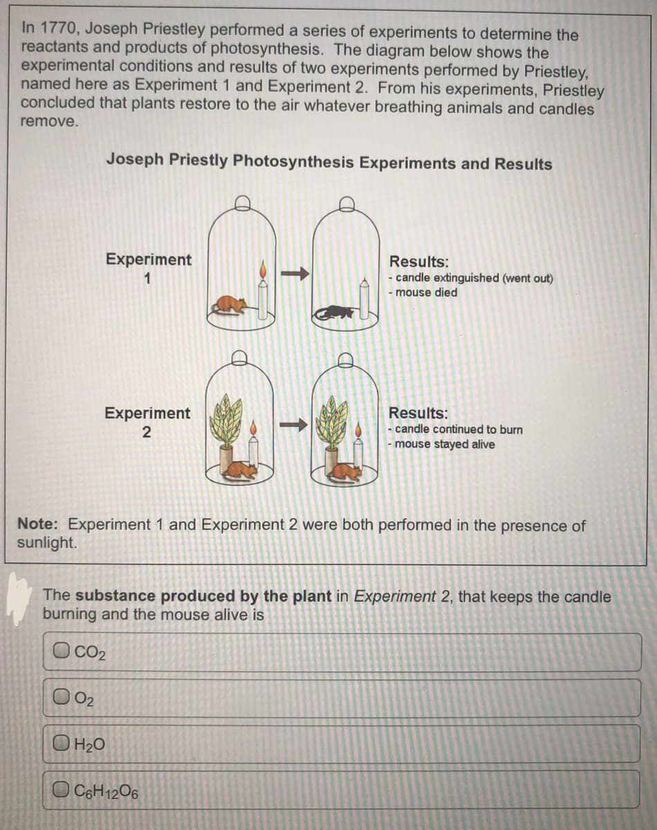 In 1770, Joseph Priestley performed a series of experiments to determine the
reactants and products of photosynthesis. The diagram below shows the
experimental conditions and results of two experiments performed by Priestley,
named here as Experiment 1 and Experiment 2. From his experiments, Priestley
concluded that plants restore to the air whatever breathing animals and candles
remove.
Joseph Priestly Photosynthesis Experiments and Results
Experiment
Results:
- candle extinguished (went out)
1
- mouse died
Experiment
2
Results:
candle continued to burn
mouse stayed alive
Note: Experiment 1 and Experiment 2 were both performed in the presence of
sunlight.
The substance produced by the plant in Experiment 2, that keeps the candle
burning and the mouse alive is
O CO2
O 02
O H2O
O C6H1206
