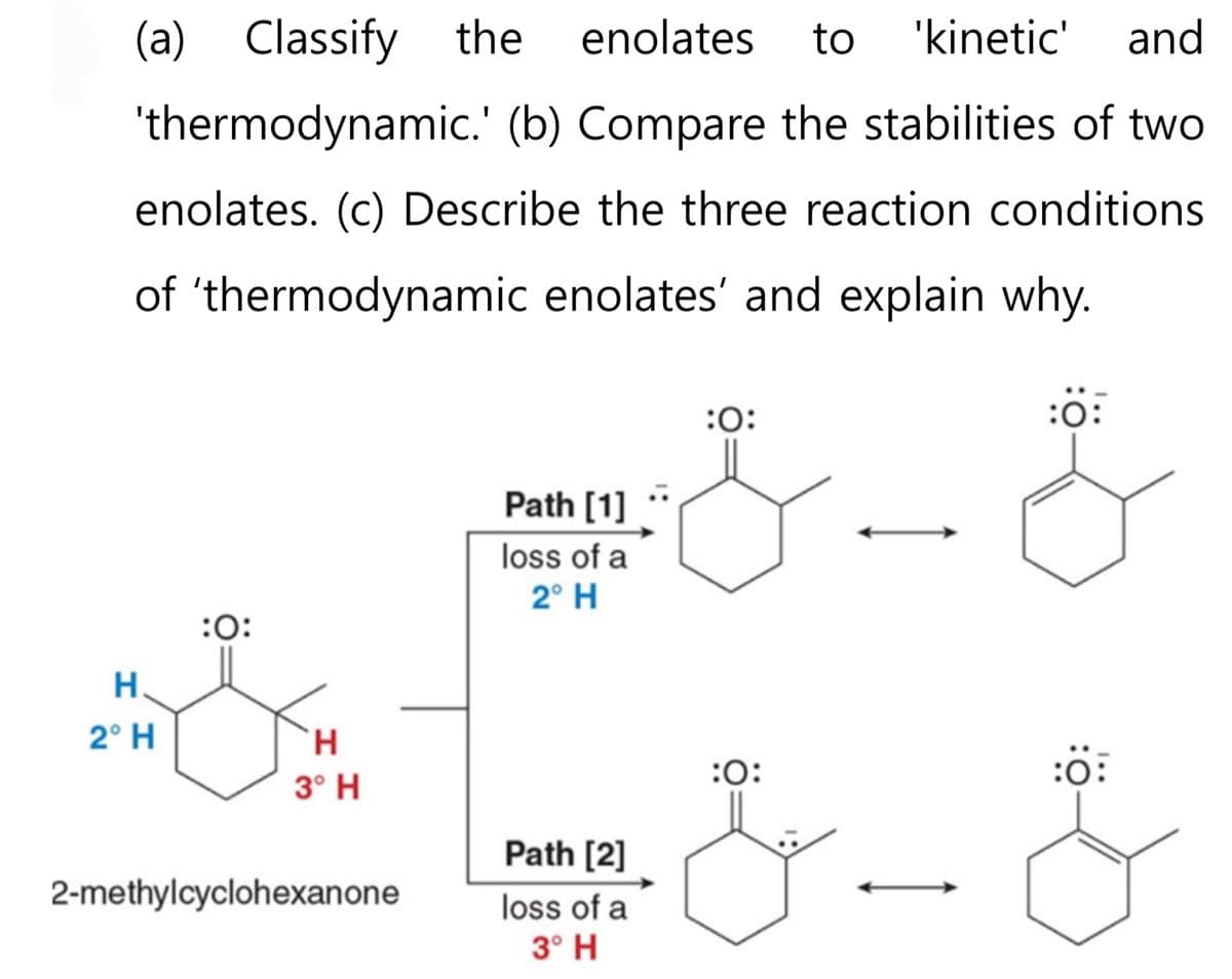 (a) Classify the enolates to 'kinetic' and
'thermodynamic.' (b) Compare the stabilities of two
enolates. (c) Describe the three reaction conditions
of 'thermodynamic enolates' and explain why.
&-&
H
2° H
:0:
H
3° H
2-methylcyclohexanone
Path [1]
loss of a
2° H
Path [2]
loss of a
3° H
:O:
:0
:0:
& - &