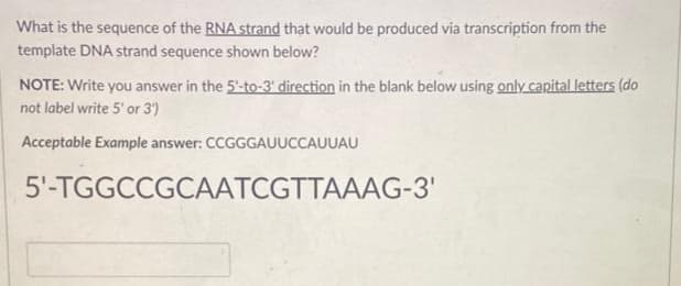 What is the sequence of the RNA strand that would be produced via transcription from the
template DNA strand sequence shown below?
NOTE: Write you answer in the 5'-to-3' direction in the blank below using only capital letters (do
not label write 5' or 3¹)
Acceptable Example answer: CCGGGAUUCCAUUAU
5'-TGGCCGCAATCGTTAAAG-3'