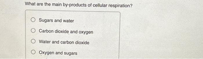 What are the main by-products of cellular respiration?
Sugars and water
O Carbon dioxide and oxygen
O Water and carbon dioxide
O Oxygen and sugars