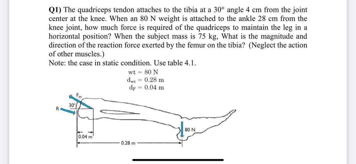 Q1) The quadriceps tendon attaches to the tibia at a 30° angle 4 cm from the joint
center at the knee. When an 80 N weight is attached to the ankle 28 cm from the
knee joint, how much force is required of the quadriceps to maintain the leg in a
horizontal position? When the subject mass is 75 kg, What is the magnitude and
direction of the reaction force exerted by the femur on the tibia? (Neglect the action
of other muscles.)
Note: the case in static condition. Use table 4.1.
wt = 80 N
dwt = 0.28 m
= 0.04 m
dr
30°
R
80 N
0.04 m
0.28 m
