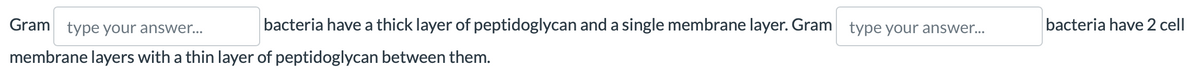 Gram type your answer...
bacteria have a thick layer of peptidoglycan and a single membrane layer. Gram type your answer...
membrane layers with a thin layer of peptidoglycan between them.
bacteria have 2 cell