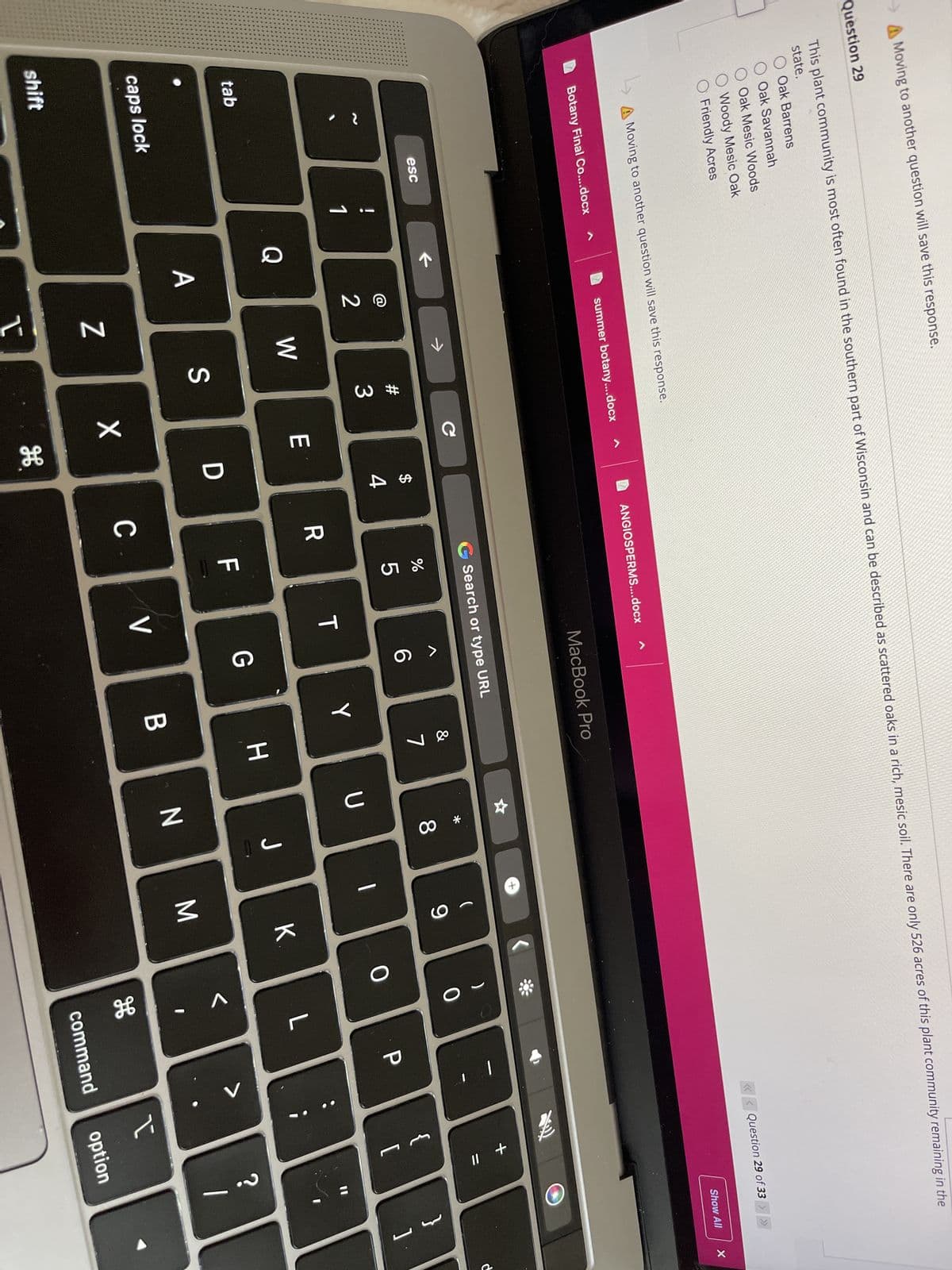 Moving to another question will save this response.
Question 29
This plant community is most often found in the southern part of Wisconsin and can be described as scattered oaks in a rich, mesic soil. There are only 526 acres of this plant community remaining in the
state.
O Oak Barrens
O Oak Savannah
O Oak Mesic Woods
O Woody Mesic Oak
O Friendly Acres
A Moving to another question will save this response.
Botany Final Co....docx
tab
caps lock
shift
esc
!
1
Q
A
summer botany....docx
NO
2
→
W
Z
I
#
3
S
с
E
X
$
4
D
H
ANGIOSPERMS....docx
R
G Search or type URL
C.
%
5
MacBook Pro
F
T
V
6
G
Y
D
&
B
7
H
U
* CO
8
N
J=
9
K
M
)
0
0
L
H
P
<< Question 29 of 33 >>>
型
+ 11
{
[
Show All
?
1
}
I
option
command
]
X
d