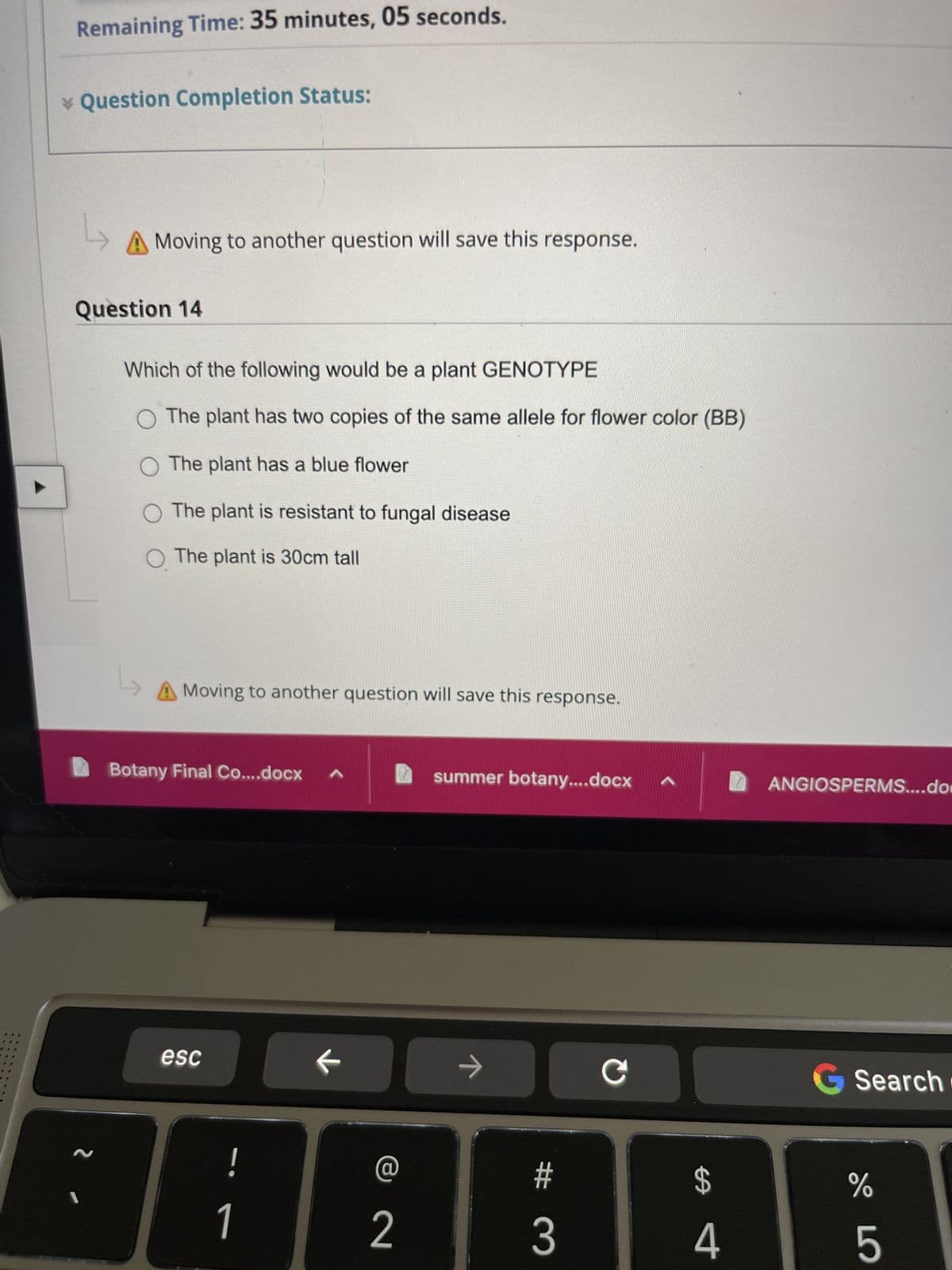 Remaining Time: 35 minutes, 05 seconds.
* Question Completion Status:
A Moving to another question will save this response.
Question 14
1
Which of the following would be a plant GENOTYPE
O The plant has two copies of the same allele for flower color (BB)
O The plant has a blue flower
O The plant is resistant to fungal disease
O The plant is 30cm tall
L
A Moving to another question will save this response.
Botany Final Co....docx
esc
!
1
^
@
2
summer botany....docx
ㅈ
#
3
C
$
4
ANGIOSPERMS....do
G Search
%
5